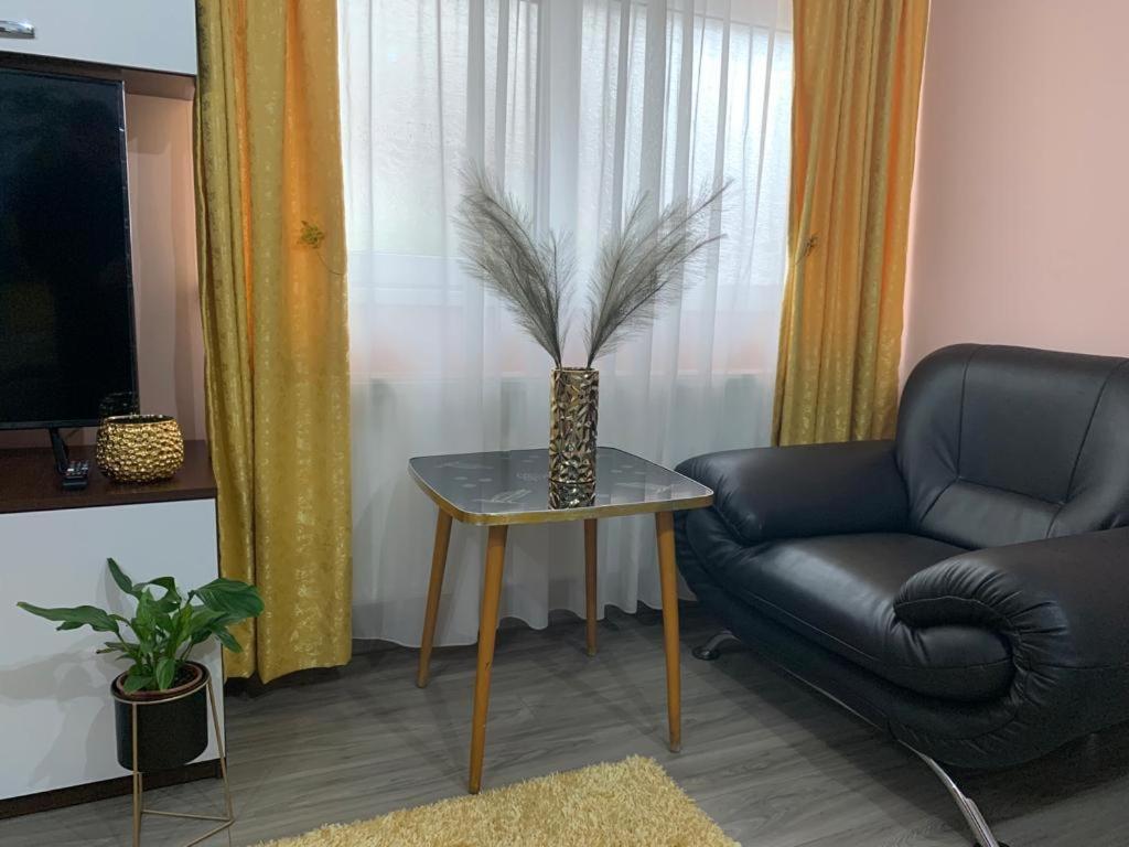 Apartamento Garsoniera Madalina Sibiu Exterior foto
