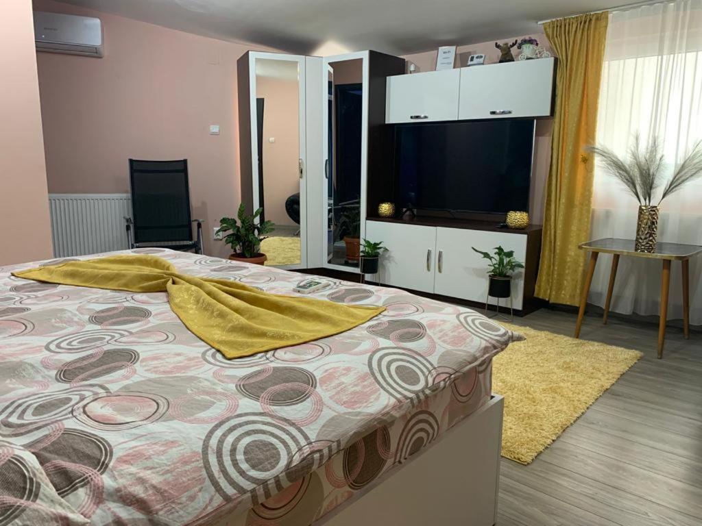 Apartamento Garsoniera Madalina Sibiu Exterior foto